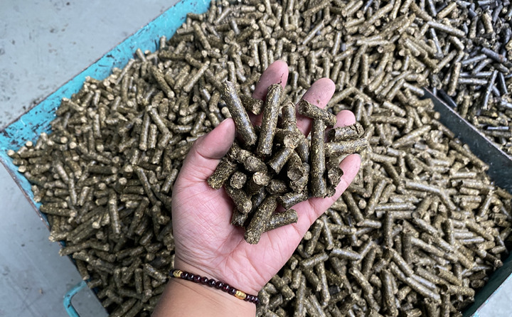 木屑制粒機(jī)的燃料顆粒.jpg 木屑制粒機(jī)的燃料顆粒.jpg