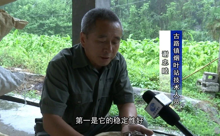 緊緊抓住木屑造粒機生物質顆粒燃料加工場地建設項目落地的契機，找準結合點，推動共和綜合服務型煙農專業合作社與生物質顆粒燃料加工廠的緊密合作.jpg